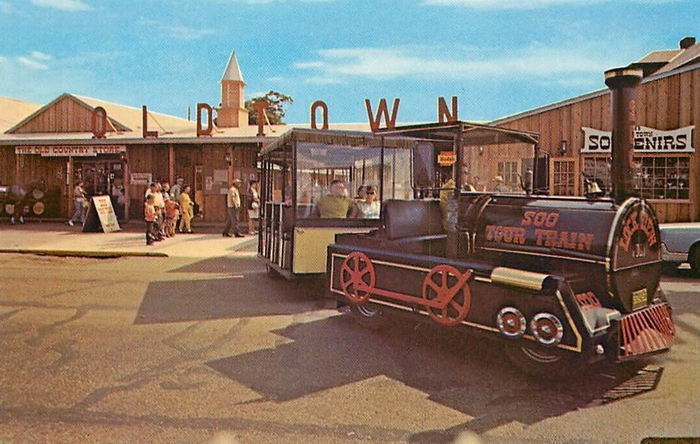 Soo Train Tours - Old Postcard